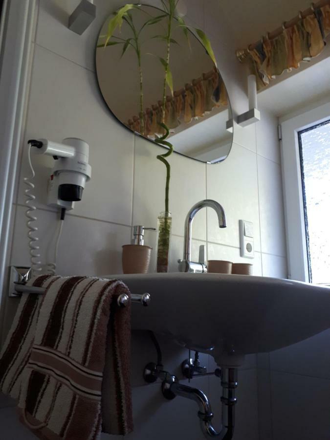 Apartmenthaus Sonnenschein Винтерберг Экстерьер фото